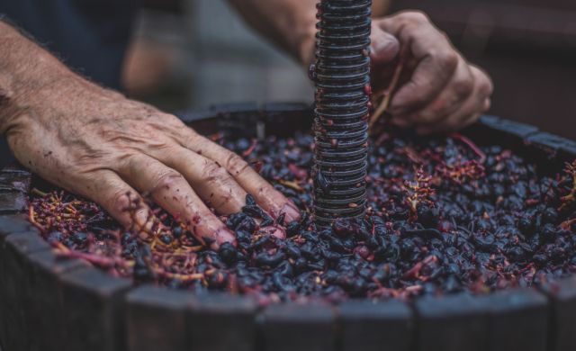 Person preparing a grape press on a winery