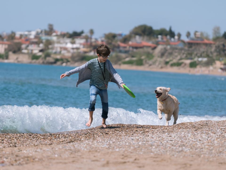 A Man And A Dog On A Beach